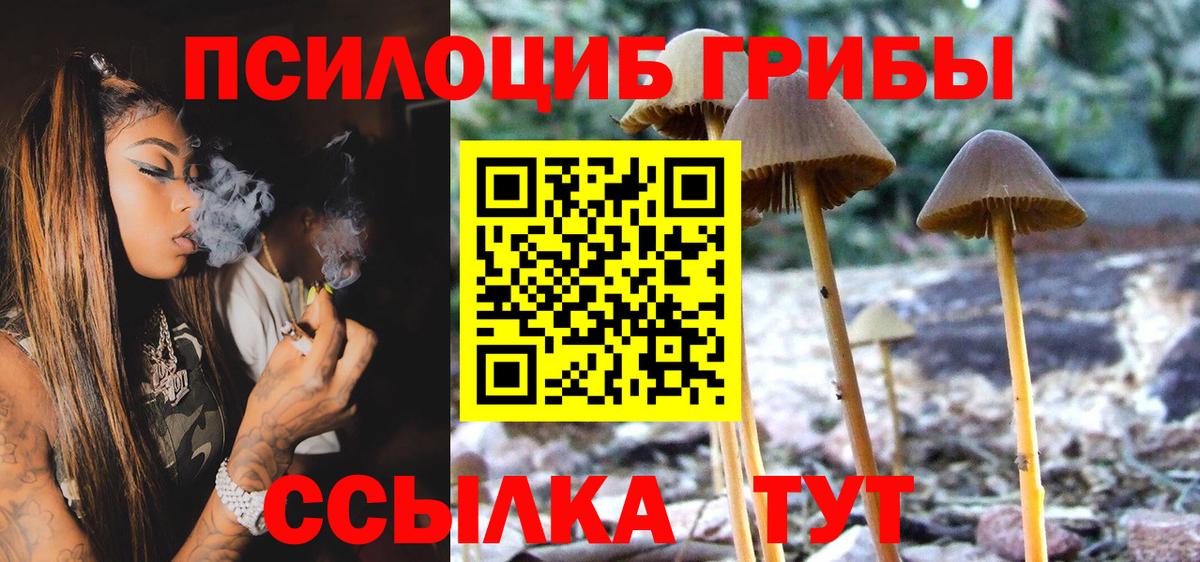 Муром  Псилоцибиновые грибы MAGIC MUSHROOMS  Вход с VPN  Псилоцибиновые грибы MAGIC MUSHROOMS 