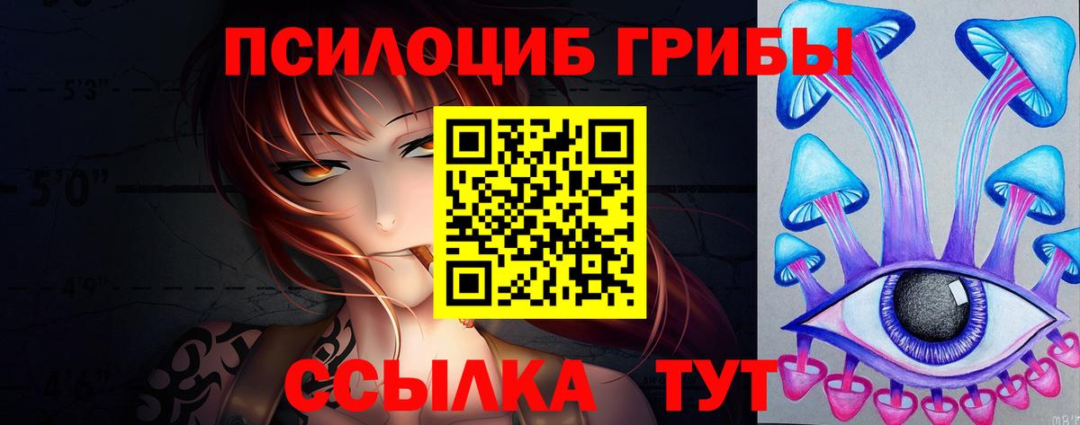 Псилоцибиновые грибы GOLDEN TEACHER Муром